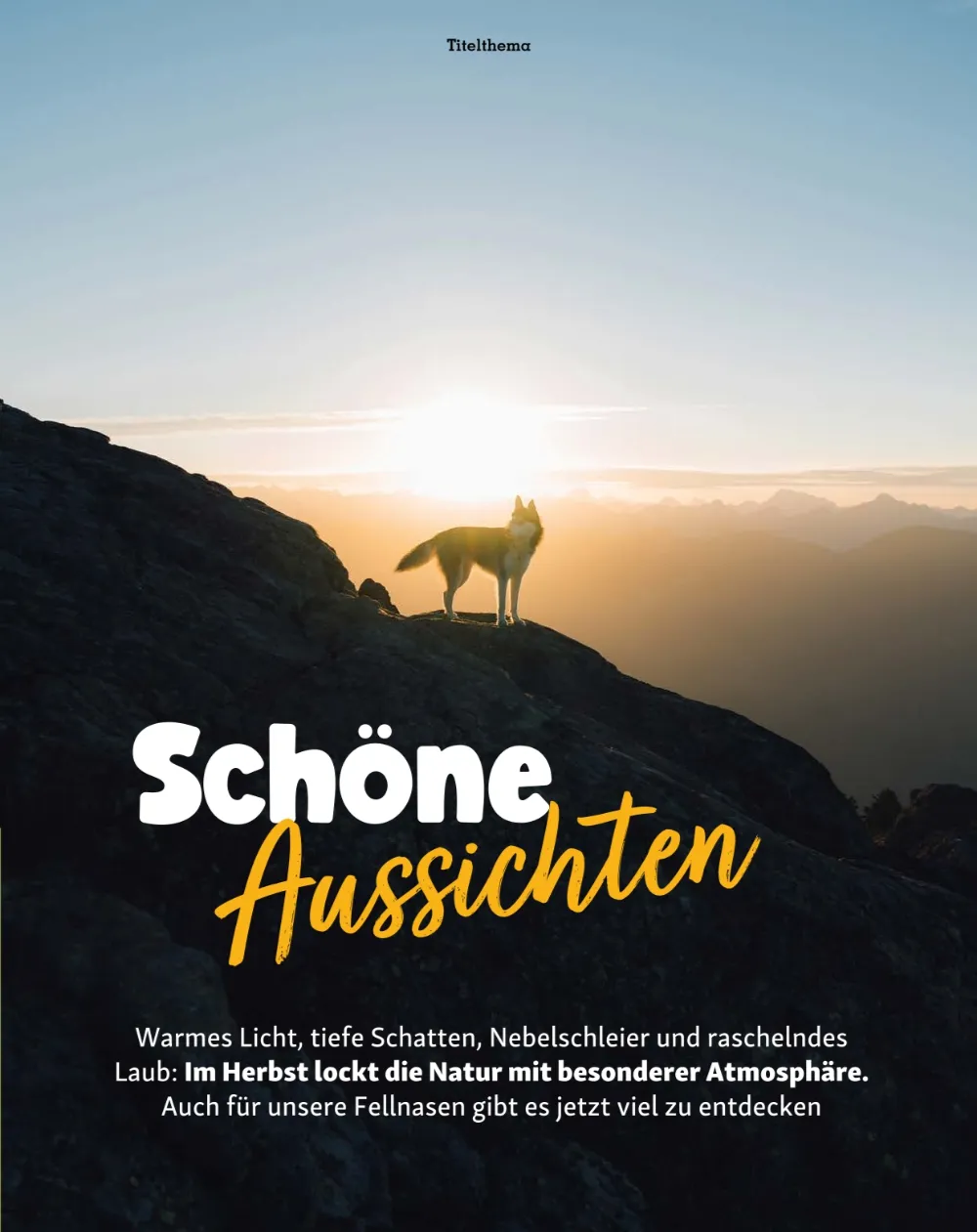 fressnapf angebote september und oktober seite 11