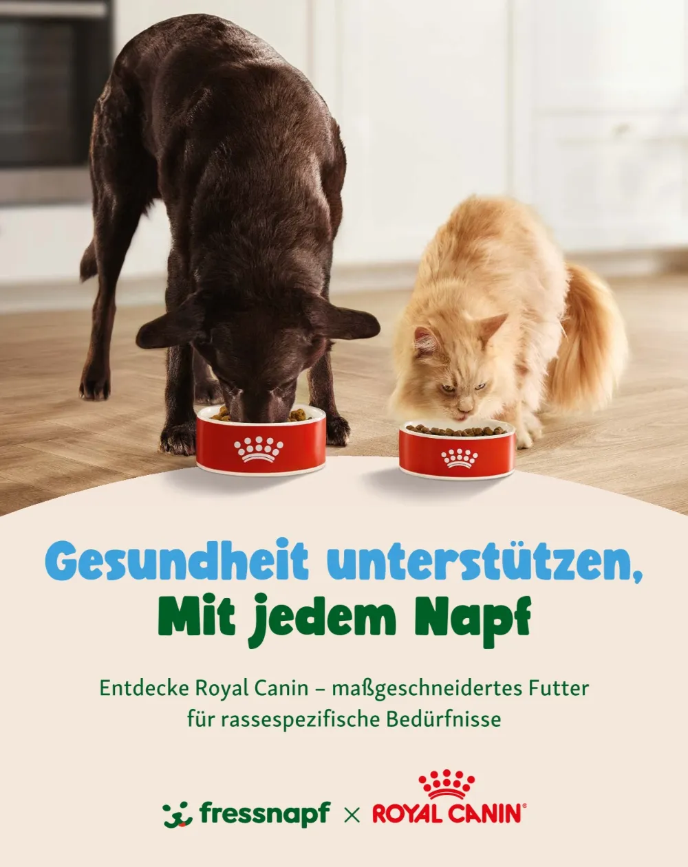 fressnapf angebote september und oktober seite 15