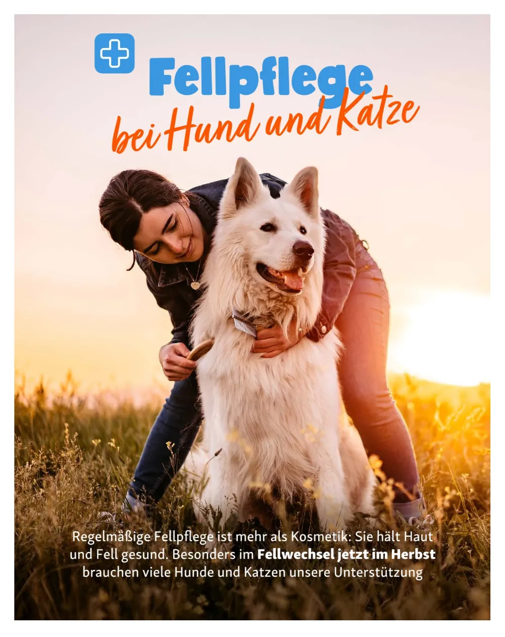 fressnapf angebote september und oktober seite 16