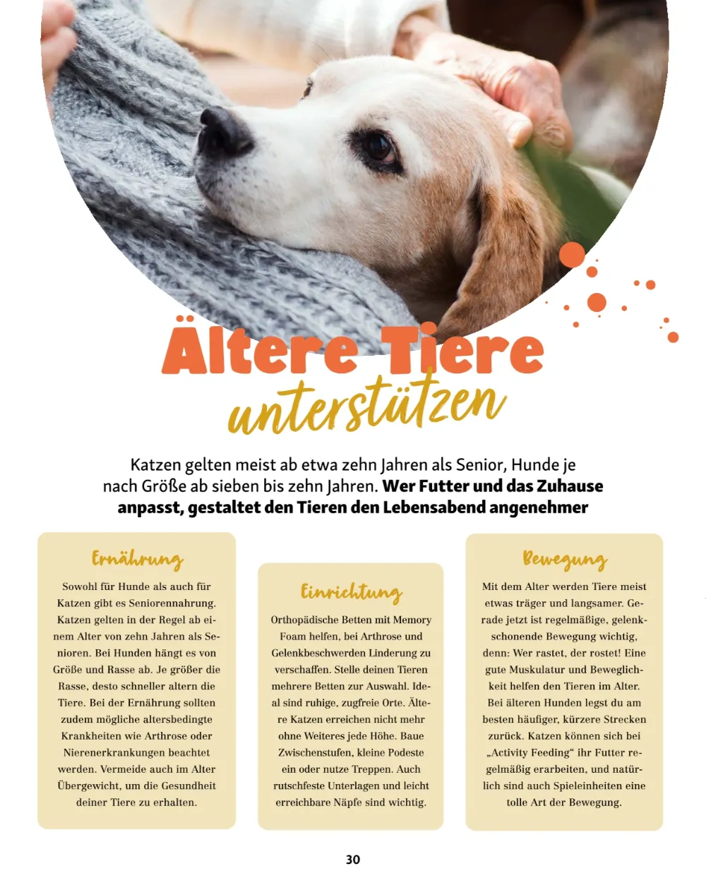 fressnapf angebote september und oktober seite 30