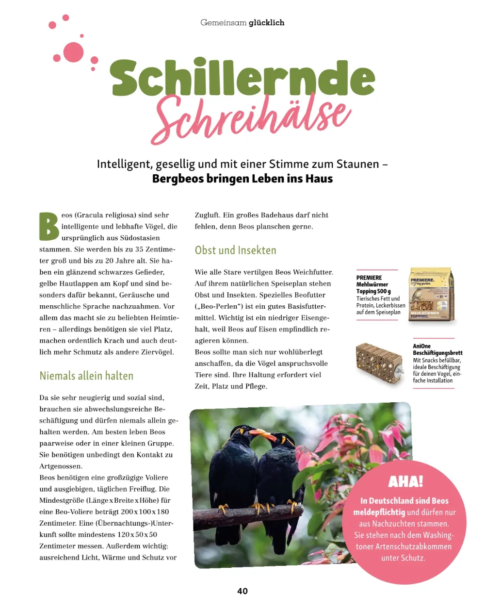 fressnapf angebote september und oktober seite 40