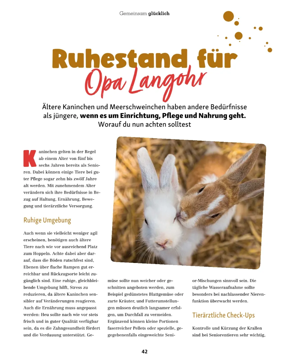 fressnapf angebote september und oktober seite 42