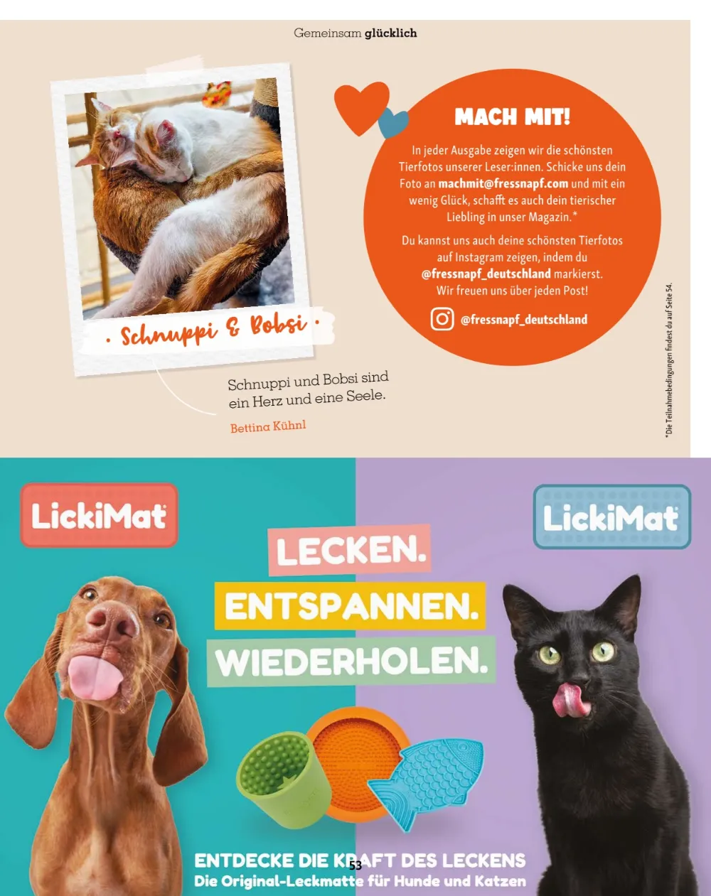 fressnapf angebote september und oktober seite 53