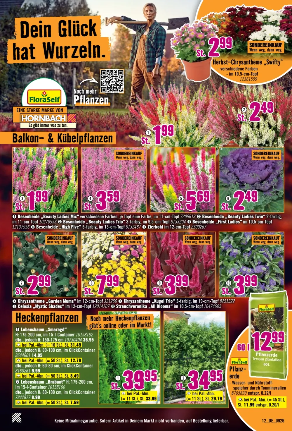 hornbach prospekt September ab 01 09 2026 seite 12