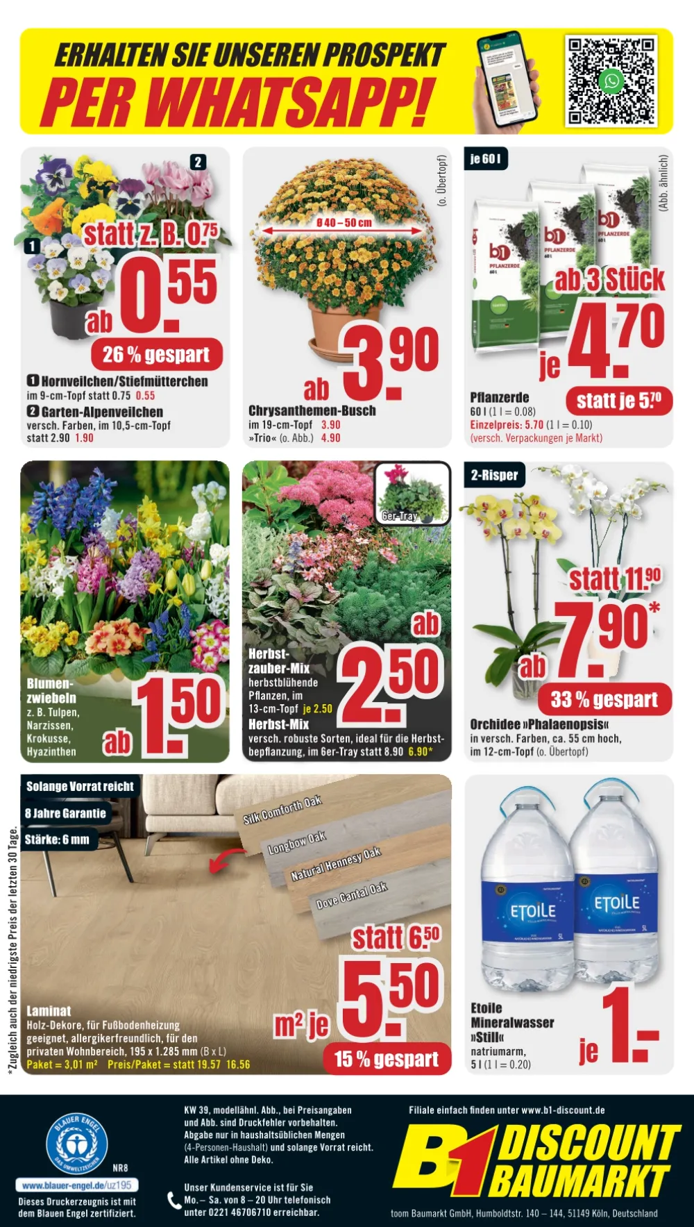 B1 Discount Baumarkt Prospekt KW 38 Seite 6 mit Stiefmütterchen, Chrysanthemen-Busch, Orchidee, Laminat und Mineralwasser