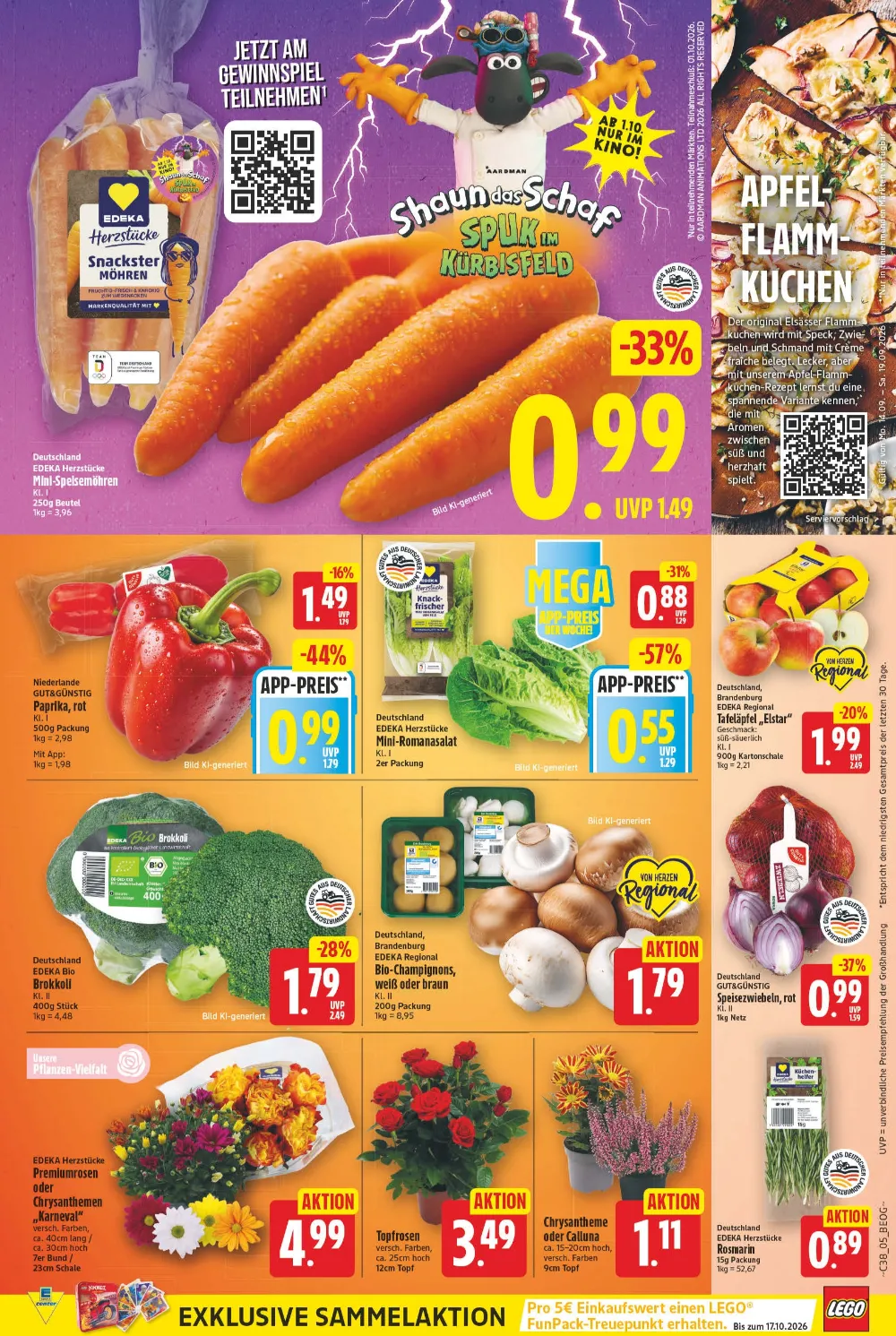 E-Center Prospekt KW 38 Seite 5 für Snack-Möhren, Paprika rot, Romanasalat, Bio Brokkoli, Champignons und Blumen