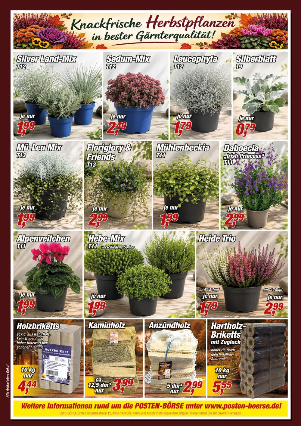 Posten Börse Prospekt KW 38 Seite 8 mit Herbstpflanzen, Alpenveilchen, Heide-Trio, Holzbriketts und Kaminholz