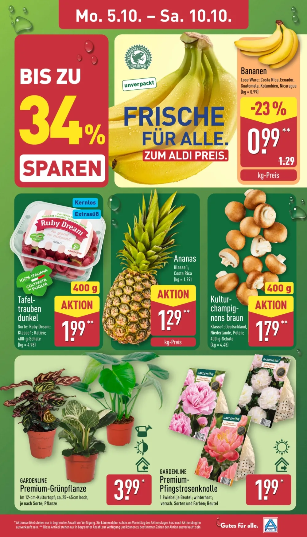 ALDI Nord Prospekt KW41 Seite 3 mit Bananen, dunklen Tafeltrauben, Ananas, Kulturchampignons und Grünpflanzen.