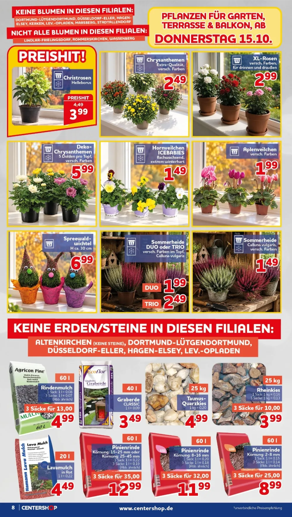 Centershop Prospekt KW 42 Seite 8 mit Christrosen, Chrysanthemen, XL-Rosen, Spreewaldwichtel & Pinienrinde