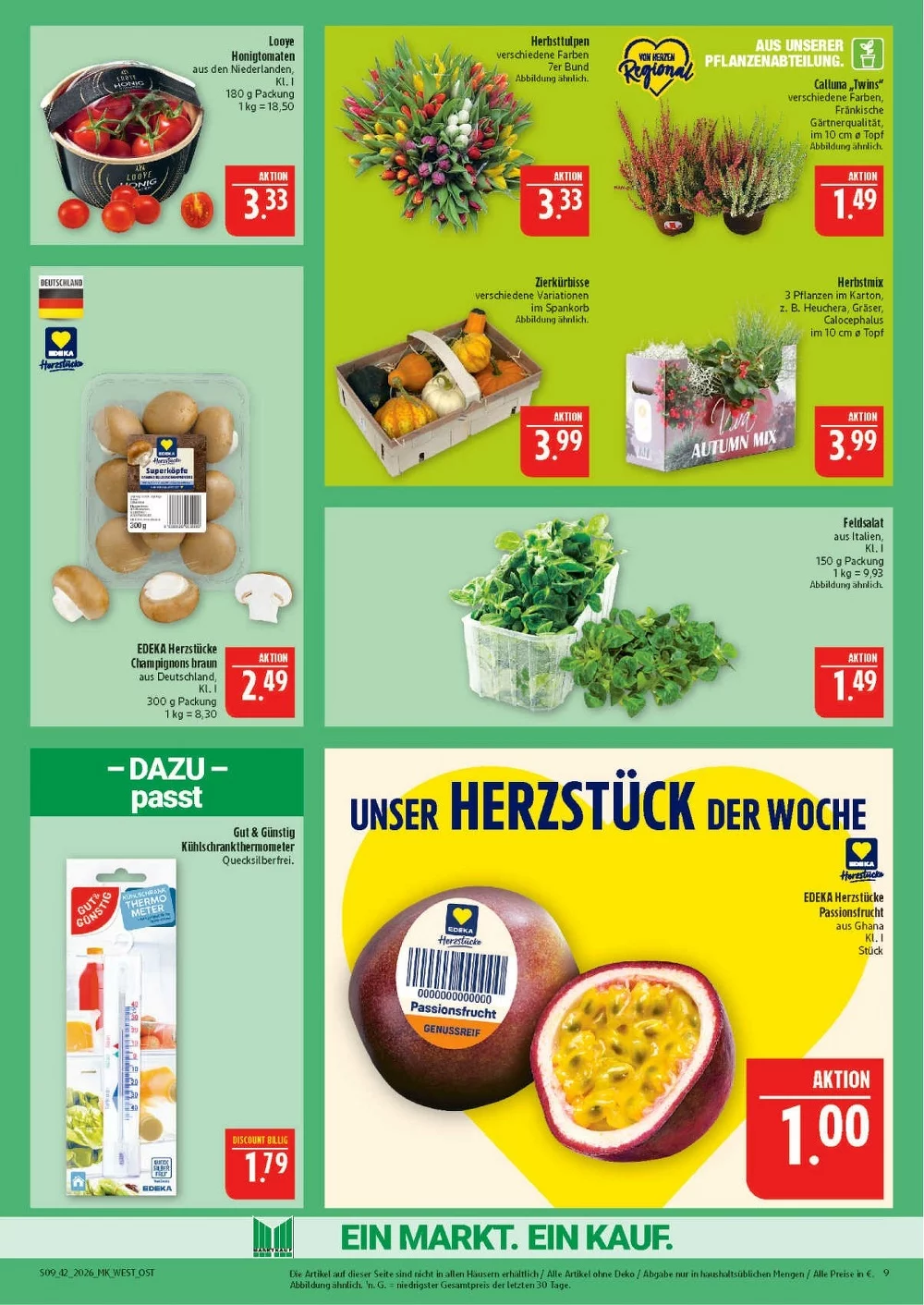 marktkauf hof prospekt ab 12 10 2026 kw42 seite 09