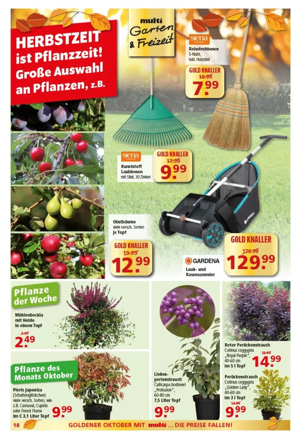 multi markt angebote ab 12 10 2026 kw42 seite 18