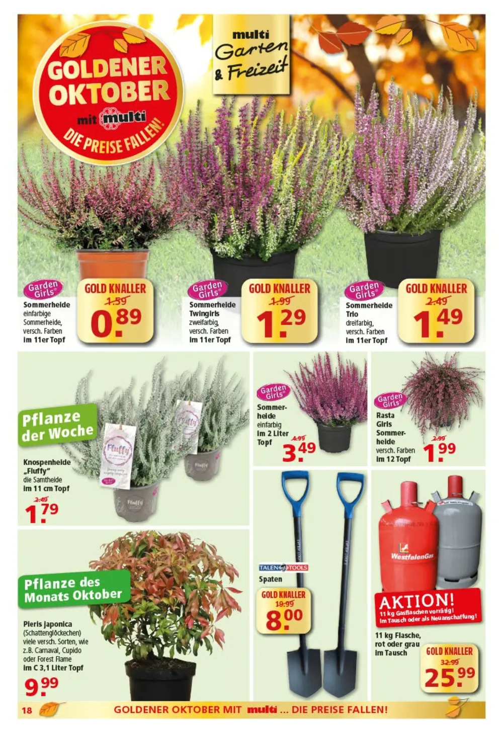 multi markt prospekt ab 05 10 2026 kw41 seite 18