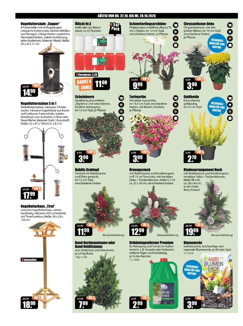 V-Baumarkt Aalen Angebote KW 43 Seite 2 mit angeboten für Vogelfuttersäule, Öllicht, Schmetterlingsorchidee & Nobilis Grabtopf
