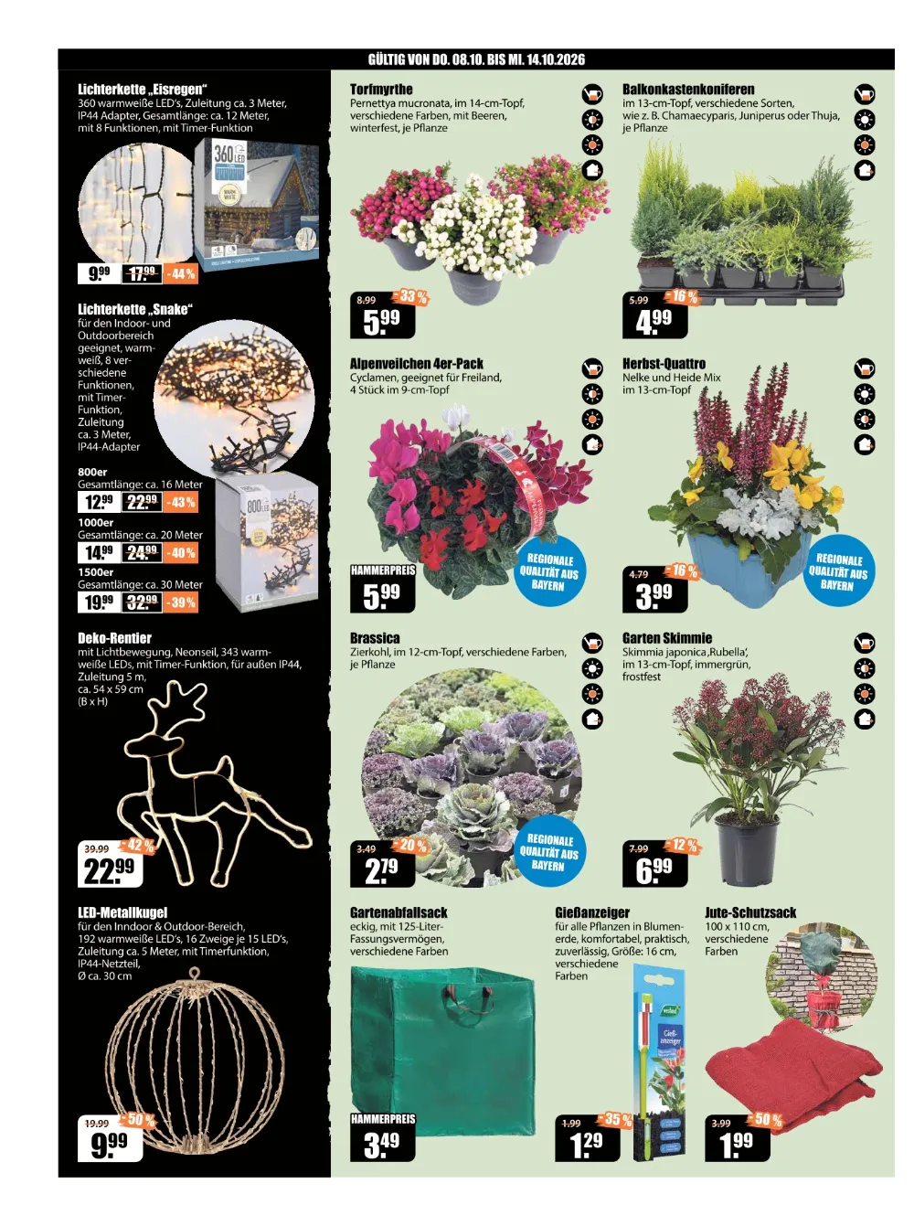 V-Baumarkt Prospekt KW41 Seite 2 mit Lichterkette, Torfmyrthe, Alpenveilchen, Deko-Rentier und Garten Skimmie.