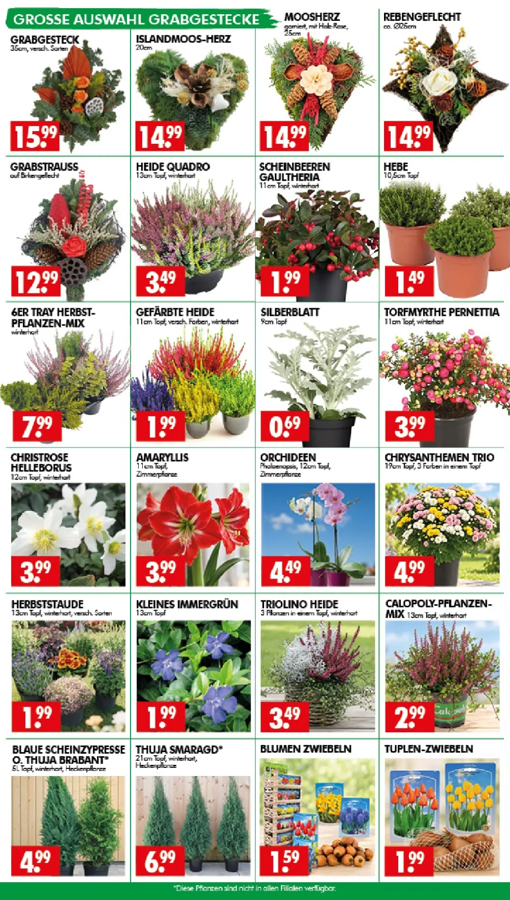 Wreesmann Prospekt KW 42 Seite 3 mit Grabgestecken, Heide, Amaryllis, Orchideen & Blumenzwiebeln