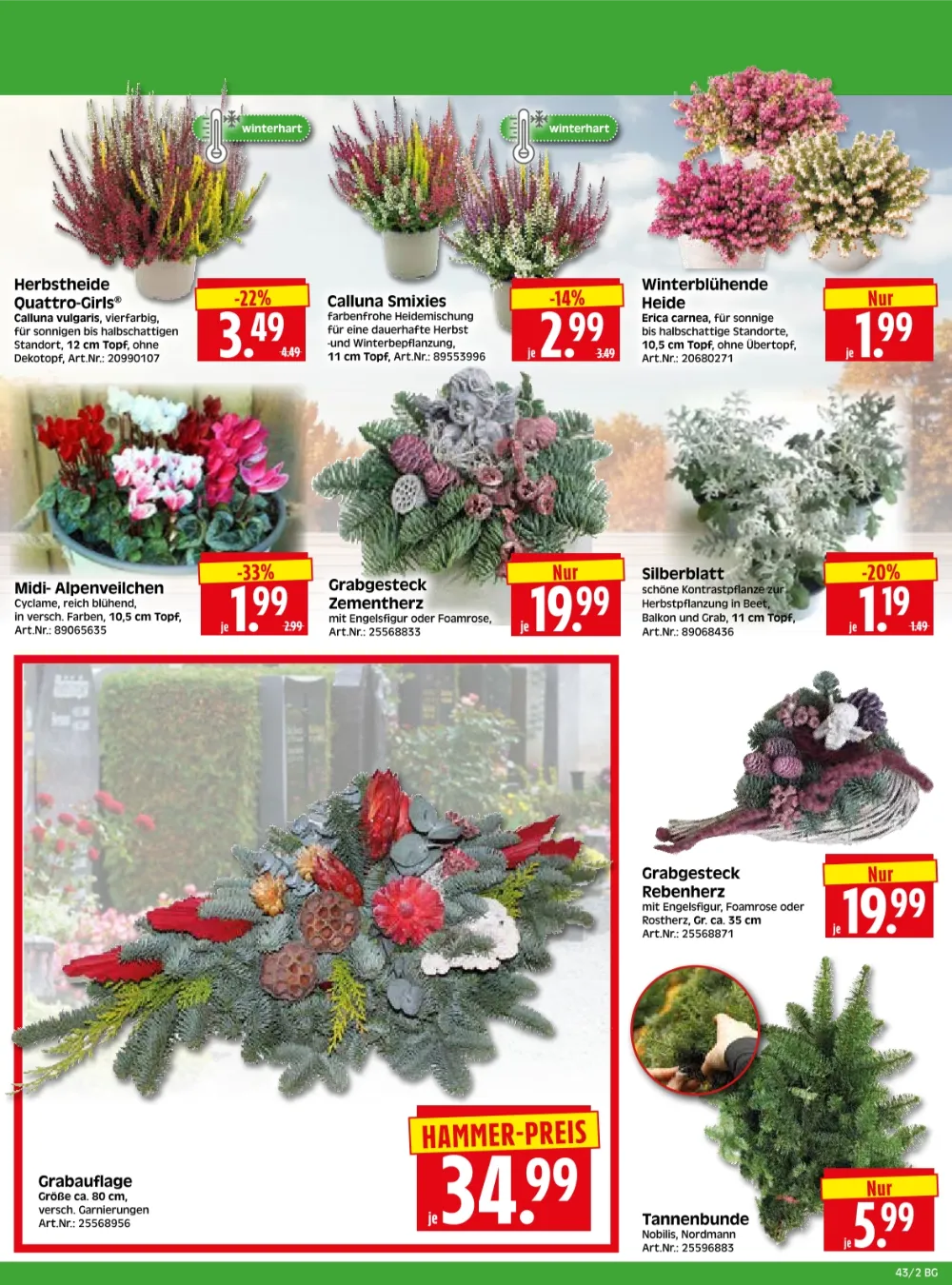 Herkules Baumarkt Prospekt KW 43 Seite 2 mit Herbstheide, Calluna Smixies, Winterheide & Grabgesteck