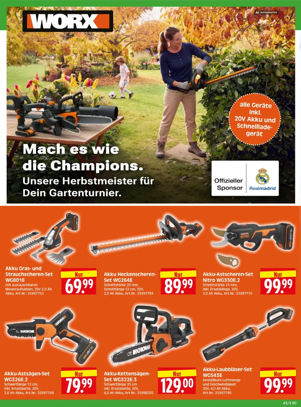 Herkules Baumarkt Prospekt KW 43 Seite 6 mit Worx Akku Gras- und Strauchscheren-Set & Heckenscheren-Set